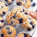 Best High Protein Blueberry Muffins